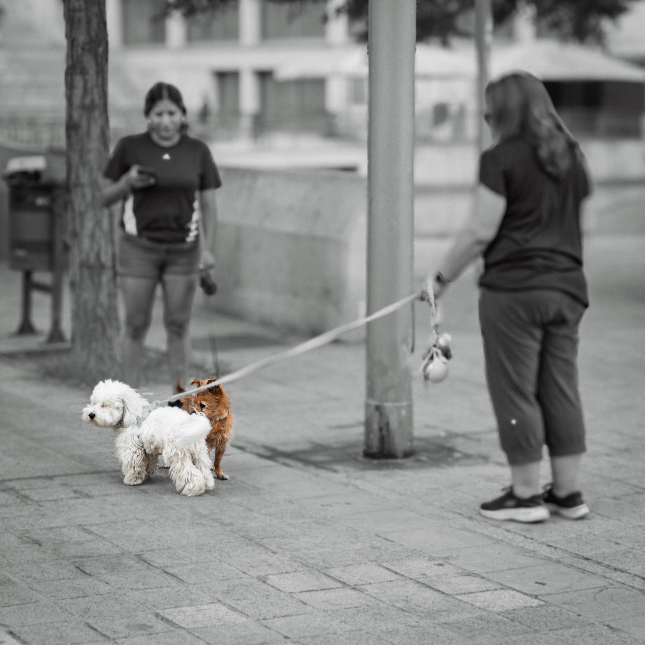Street Photo 20260926 7801